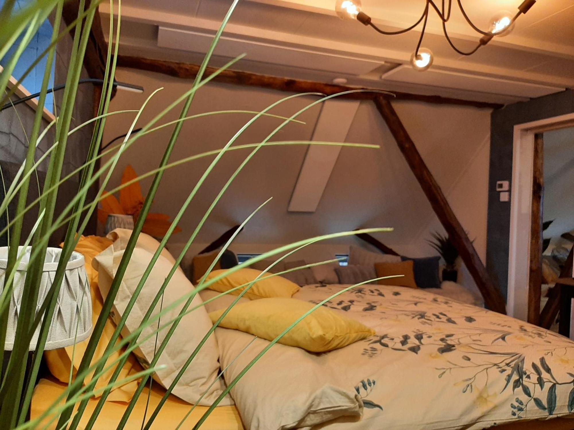 Loft De Hooizolder Met Sauna Bij Te Boeken Gees Exterior foto